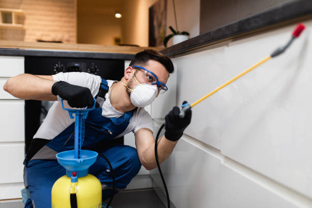 Best Exterminator Services  in Millport, AL