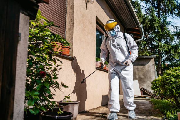 Best Bed Bug Extermination  in Millport, AL