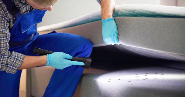 Reliable Millport, AL Pest Control Solutions