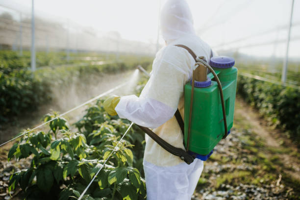 Pest Control for Restaurants in Millport, AL